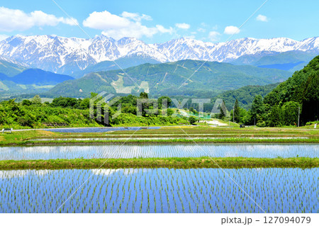 白馬村野平地区より白馬岩岳マウンテンリゾート、白馬三山方面を望む(長野県白馬村)【2025.6】 白馬村野平地区より白馬岩岳マウンテンリゾート、白馬三山方面を望む(長野県白馬村)【2025.6】 127094079