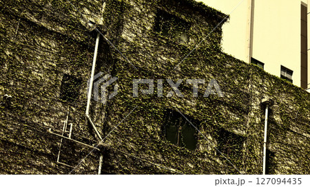 蔦に覆われた建物 127094435
