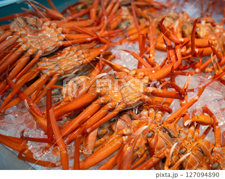 紅ずわいがに（新潟・寺泊　魚の市場通り） 127094890