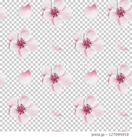 Seamless pattern with pink flowers. Cherry blossom. Watercolor illustration without background. Hand drawing. For fabric and textile. wrapping paper and templates. High quality illustration 127094958