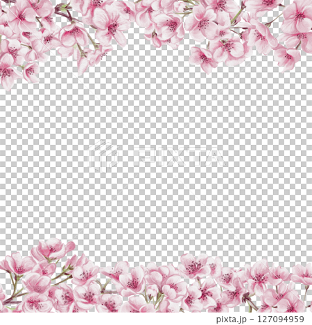 Frame of sakura flowers. Small pink flowers on branches and petals. Spring blossom. Watercolor illustration without background. Hand drawing. Template for text. High quality illustration 127094959
