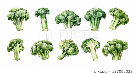 Set of watercolor broccoli illustrations 127095022