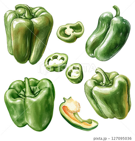 Set of green bell peppers in watercolor style. Set of green bell peppers in watercolor style. 127095036
