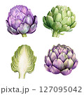 Vector set of artichokes with sliced elements 127095042