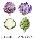 Watercolor artichoke vector set 127095054