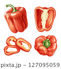 Set of red bell peppers in watercolor style 127095059