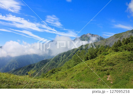 八方池へ行く登山道より、途中の景色 127095258