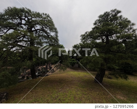 元離宮二条城 京都府 元離宮二条城 京都府 127095266