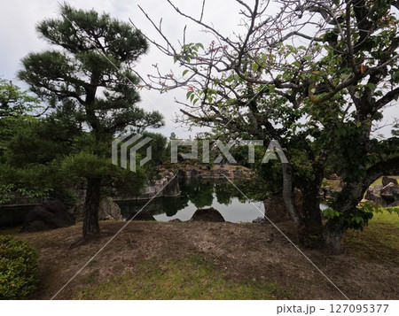 元離宮二条城　京都府 127095377