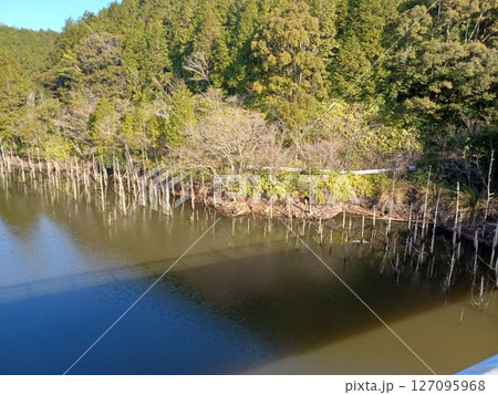 キャンプ場をサイクリングしている途中の湖 キャンプ場をサイクリングしている途中の湖 127095968
