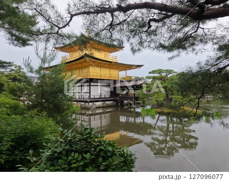 鹿苑寺 金閣寺 京都府 鹿苑寺 金閣寺 京都府 127096077