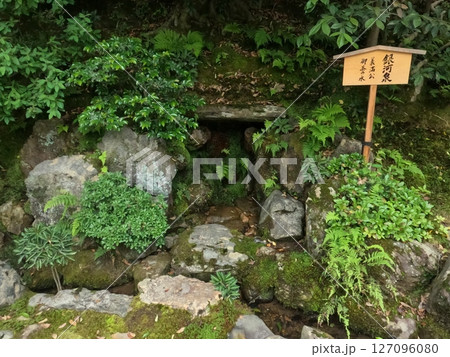 鹿苑寺 金閣寺 京都府 鹿苑寺 金閣寺 京都府 127096080