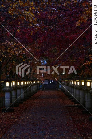 高山寺の紅葉 高山寺の紅葉 127096143