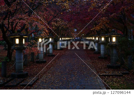 高山寺の紅葉 127096144