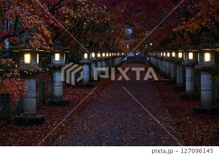 高山寺の紅葉 127096145