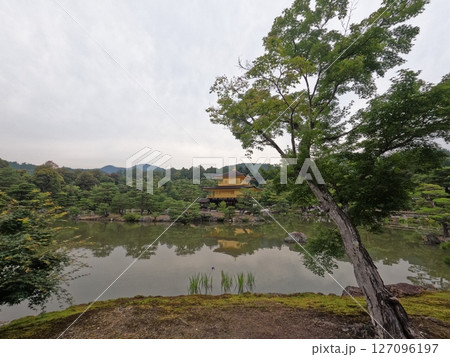 鹿苑寺 金閣寺 京都府 鹿苑寺 金閣寺 京都府 127096197