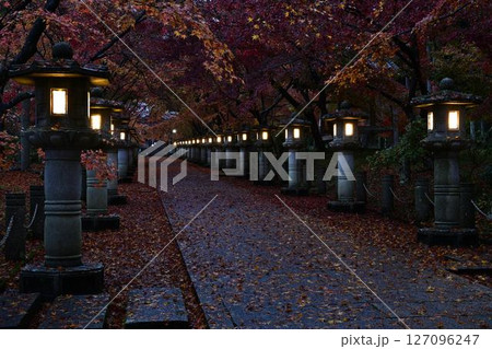 高山寺の紅葉 127096247