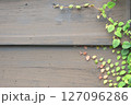 ブラウンの木製の背景とツタの緑【タイトル用】 127096286