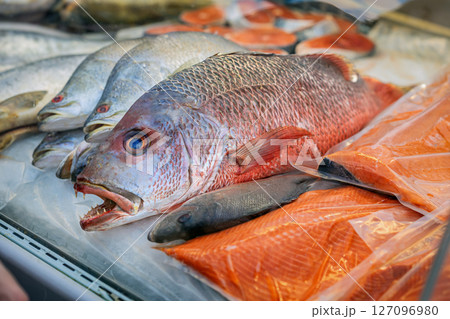 Close-up of various fresh fish and salmon fillets displayed on ice, seafood market. Sale of fresh frozen fish. Open showcases of seafood market. Concept of fresh fish, seafood selection, healthy diet Close-up of various fresh fish and salmon fillets displayed on ice, seafood market. Sale of fresh frozen fish. Open showcases of seafood market. Concept of fresh fish, seafood selection, healthy diet 127096980