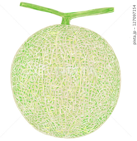 マスクメロン_まるのまま マスクメロン_まるのまま 127097154