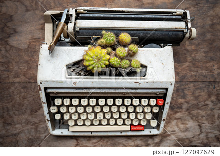 Old typewriter convert in unique cactus flowerpot Decorative reuse of antique machinery, eco idea Old typewriter convert in unique cactus flowerpot Decorative reuse of antique machinery, eco idea 127097629