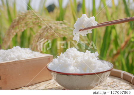 秋に収穫された新米と炊きたてのご飯。白米と稲穂 秋に収穫された新米と炊きたてのご飯。白米と稲穂 127097869