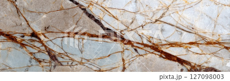 Natural Macro Textured view surface texture slab stone marble 127098003
