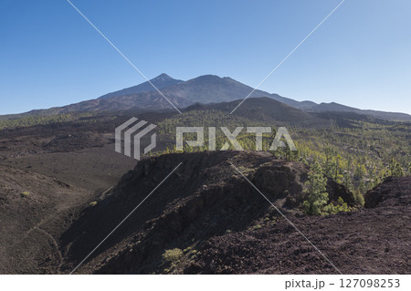 Winter view on volcano Pico del Teide with snow spots from hiking trail Samara. Mountains and lava fields with pine tree forest, blue sky. El Teide National Park, Tenerife, Canary Islands, Spain Winter view on volcano Pico del Teide with snow spots from hiking trail Samara. Mountains and lava fields with pine tree forest, blue sky. El Teide National Park, Tenerife, Canary Islands, Spain 127098253