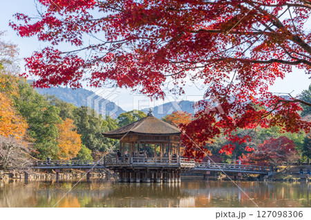 【紅葉】秋の奈良公園　浮見堂 127098306
