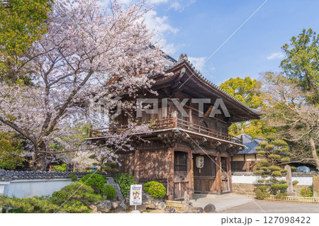 【第1番札所】桜咲く霊山寺 仁王門【四国八十八箇所】 【第1番札所】桜咲く霊山寺 仁王門【四国八十八箇所】 127098422