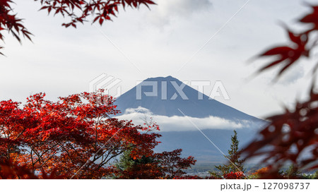 Red torii gate frames Mount Fuji with its snowless crater surrounded by vibrant autumn leaves Red torii gate frames Mount Fuji with its snowless crater surrounded by vibrant autumn leaves 127098737
