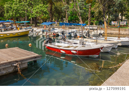 Colorful fishing boats moored in calm green water. Seaside lifestyle, coastal tourism, and peaceful harbor environment. Colorful fishing boats moored in calm green water. Seaside lifestyle, coastal tourism, and peaceful harbor environment. 127099191