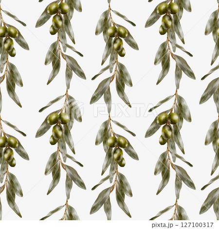 Elegant olive branch watercolor pattern for textile and packaging designs 127100317
