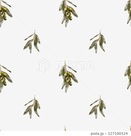 Olive branch watercolor pattern for textile and packaging design 127100324