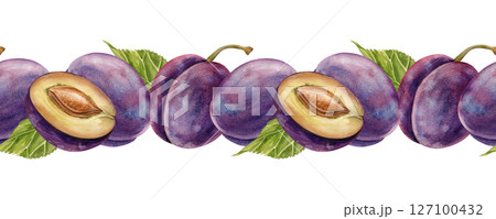 Horizontal seamless border with watercolor plums and green leaves isolated on a white background. A template with a watercolor illustration of sweet ripe fruits. Banner for menu design, recipes and Horizontal seamless border with watercolor plums and green leaves isolated on a white background. A template with a watercolor illustration of sweet ripe fruits. Banner for menu design, recipes and 127100432