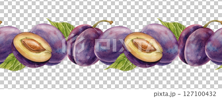 Horizontal seamless border with watercolor plums and green leaves isolated on a white background. A template with a watercolor illustration of sweet ripe fruits. Banner for menu design, recipes and Horizontal seamless border with watercolor plums and green leaves isolated on a white background. A template with a watercolor illustration of sweet ripe fruits. Banner for menu design, recipes and 127100432