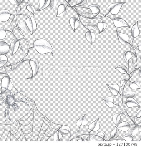 Square frame with curved branches, spider and web. Isolated pencil illustration in realistic style for postcards, posters, printing on fabric and clothes, flower shop design. Square frame with curved branches, spider and web. Isolated pencil illustration in realistic style for postcards, posters, printing on fabric and clothes, flower shop design. 127100749