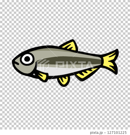 Simple illustration of a chum fish 127101225