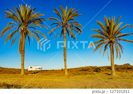 Camper on beach, camping on sea coast 127101851