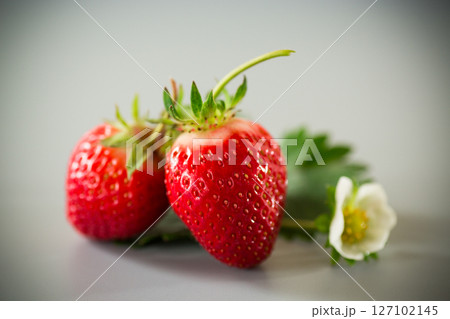 Fresh strawberries of juicy red color on a minimalistic background 127102145