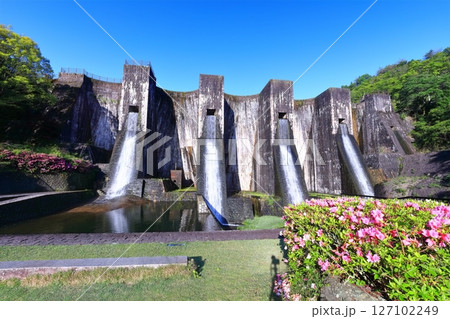 【香川県】ツツジ咲く春の豊稔池ダム（豊稔池堰堤）国最初の石積式多連マルチプルアーチダム 127102249