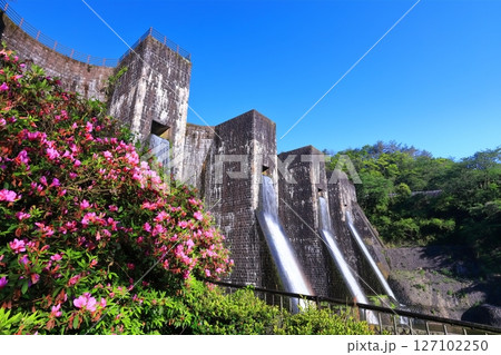 【香川県】ツツジ咲く春の豊稔池ダム（豊稔池堰堤）国最初の石積式多連マルチプルアーチダム 127102250