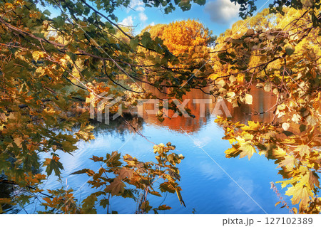 Vibrant autumn foliage frames a serene lake, with colorful leaves mirrored on the water 127102389