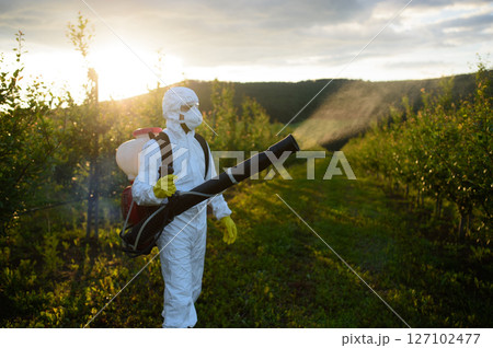 Farmer spraying pesticide in orchard, disinfecting trees in protective suit. 127102477