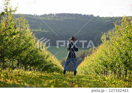 A mature farmer walking outdoors in orchard at sunset. Copy space. 127102481