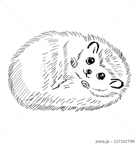 Vector Illustration Of Cute Hedgehog Character Cartoon Style Animal Vector Illustration Of Cute Hedgehog Character Cartoon Style Animal 127102799