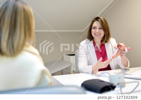 Gynecologist during appointment of patient. Doctor shows anatomical model of internal female organs and explains about disease. Gynecological consultation of treatment tactics Gynecologist during appointment of patient. Doctor shows anatomical model of internal female organs and explains about disease. Gynecological consultation of treatment tactics 127102809