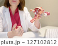 Gynecologist during appointment of patient. Doctor shows anatomical model of internal female organs and explains about disease. Gynecological consultation of treatment tactics 127102812