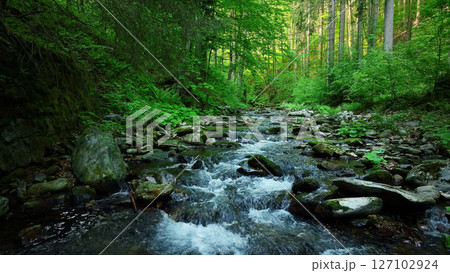 Beautiful Sunrise In Sunny Spring Forest with Stream . Sunlight Sunbeams Through Woods In Forest Landscape. Panorama Panoramic View Beautiful Sunrise In Sunny Spring Forest with Stream . Sunlight Sunbeams Through Woods In Forest Landscape. Panorama Panoramic View 127102924