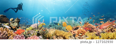 Scuba Diver Swimming in Deep Sea with Sunrays and Beautiful Coral Reef with Colorful Fishes Scuba Diver Swimming in Deep Sea with Sunrays and Beautiful Coral Reef with Colorful Fishes 127102930